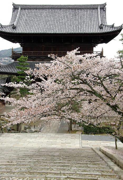 Nanako House Villa Kyoto Eksteriør bilde