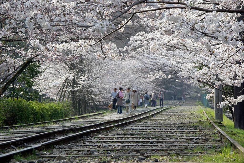 Nanako House Villa Kyoto Eksteriør bilde