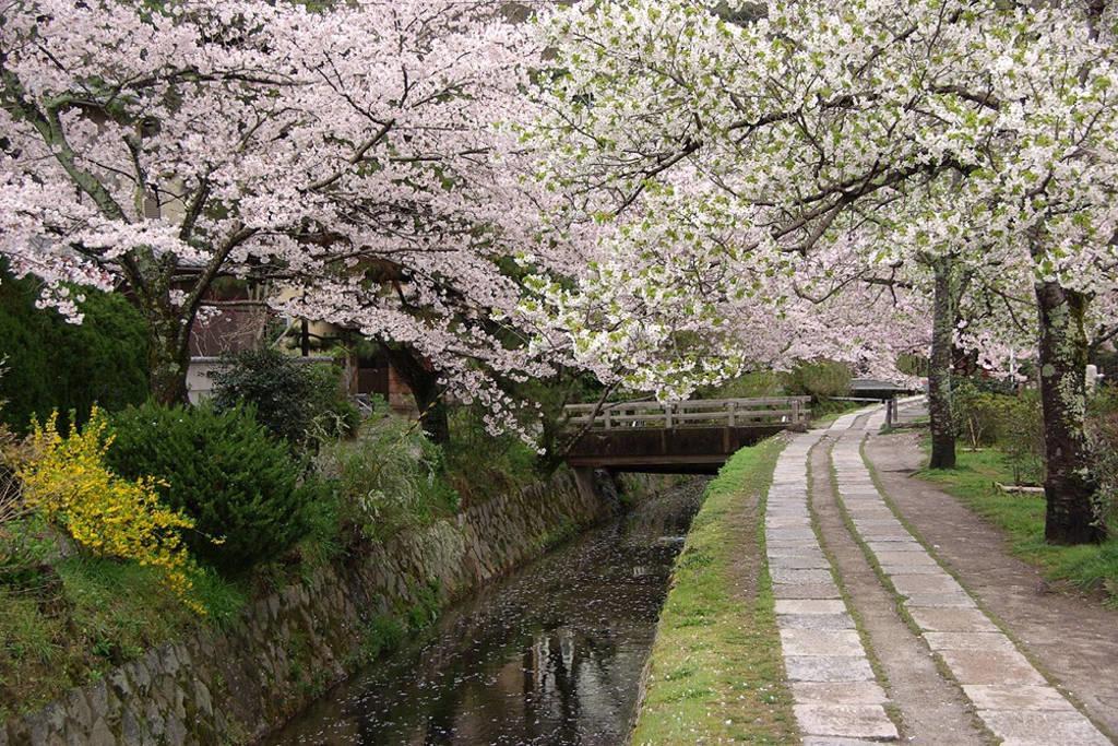 Nanako House Villa Kyoto Eksteriør bilde
