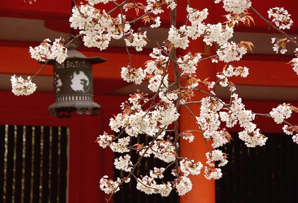 Nanako House Villa Kyoto Eksteriør bilde